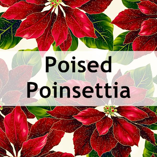 Poised Poinsettia